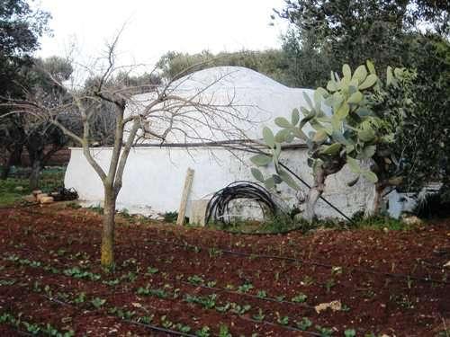 parte posteriore del casale